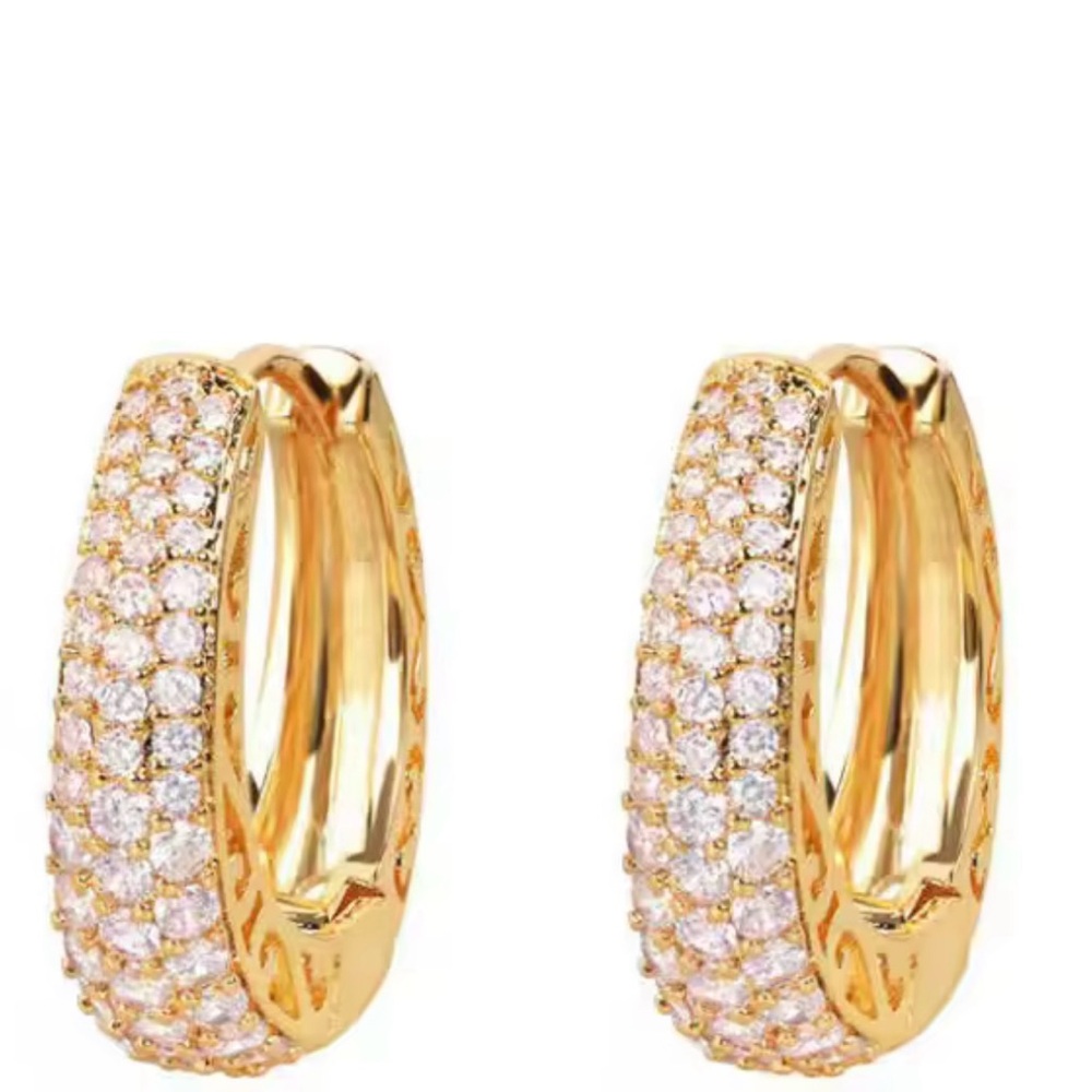 NEW Elegant Gold and Silver Hoop Earrings